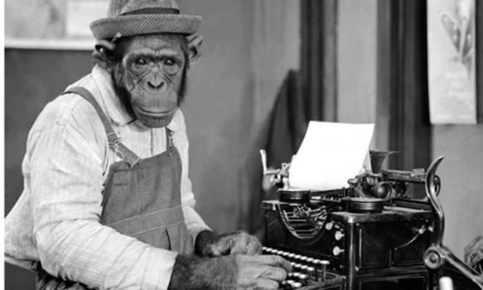 Chimpanzee at Typewriter